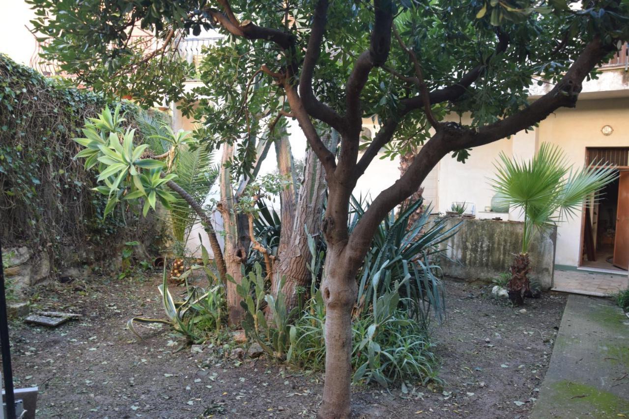 Artroom Garden Noto Exteriör bild