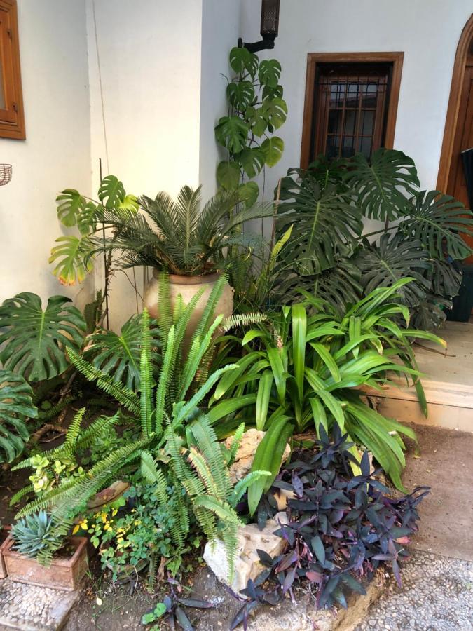Artroom Garden Noto Exteriör bild