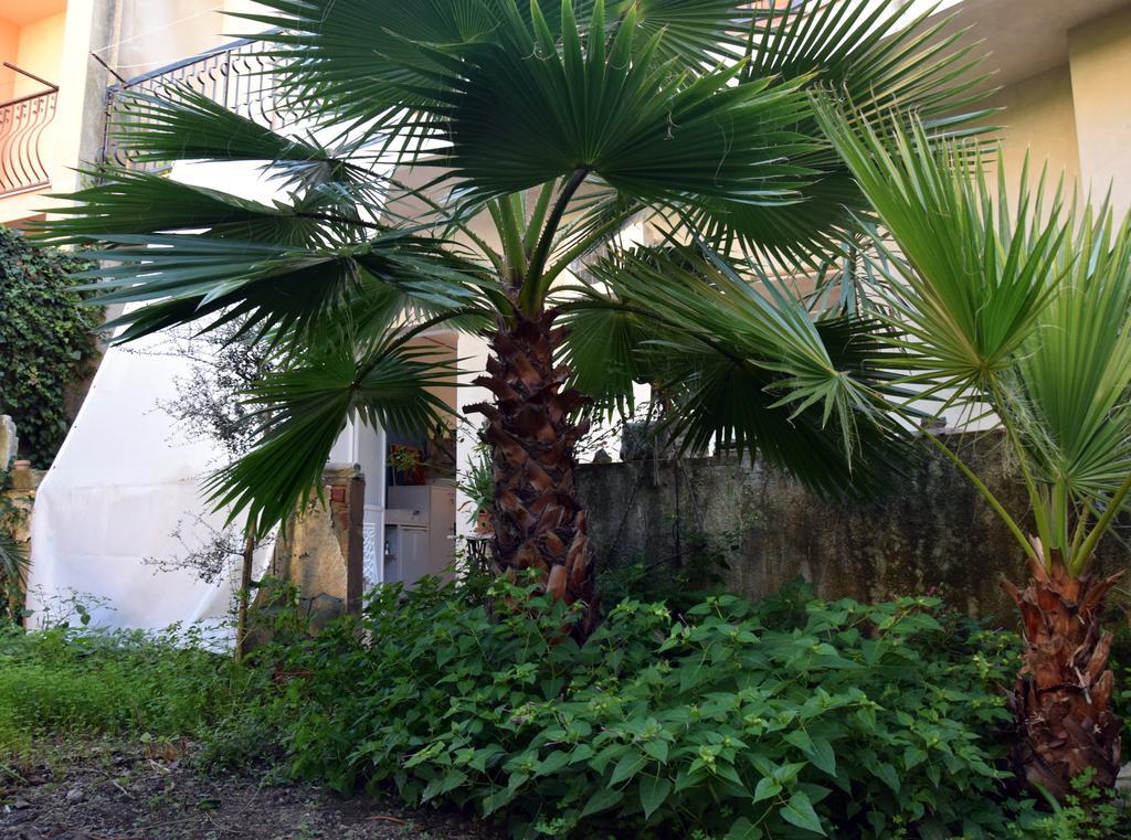 Artroom Garden Noto Exteriör bild